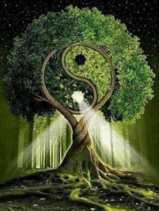 Tuina Therapeut Apeldoorn